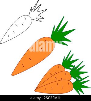 Heller Vektor-Satz von bunten Karotten. Frisches Comicgemüse isoliert auf weißem Hintergrund. Illustration für Magazin, Buch, Poster, Karte, Menü Stock Vektor