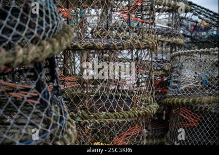 Angeln Hummerkörbe Krabbennetze poole Hafen aus nächster Nähe Stockfoto