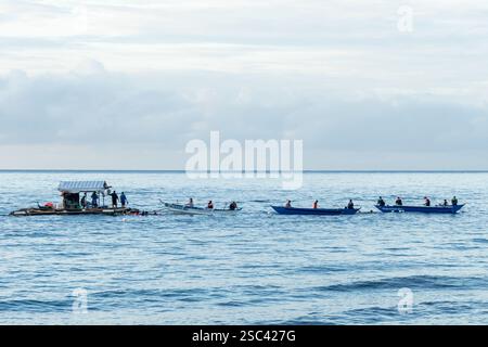 Menschen, die am Morgen an Walhai-Beobachtungstouren in Lila, Bohol, Philippinen teilnehmen. Stockfoto