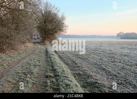Ein ruhiger Wintermorgen auf einem Landweg im niederländischen Dorf Echten. Die Bäume, bedeckt mit Raureif, heben sich von den weichen Pastellfarben von t ab Stockfoto