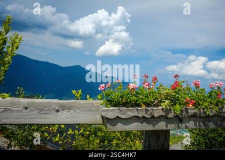 Maiskogel Familienberg Kaprun, Österreich, mit hölzernem Pflanzkasten gefüllt mit leuchtenden rosa und roten Blumen. Stockfoto