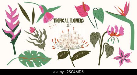 Set tropischer Blumen. Exotische Flammenlilie, Anthurium, Fuchsia, Paradiesvogel, Helikonia, Monstera. Dschungelpflanzen. Vektorabbildung abgewickelt Stock Vektor