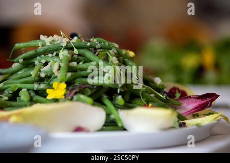 Frisches Blattsalat Stockfoto