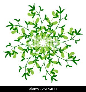 Raffiniertes grünes Blumendesign mit Blattmustern, die von einem zentralen Punkt ausstrahlen Stock Vektor