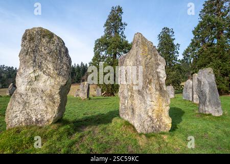Die Dragonstones auf dem Hascombe Hill, einem modernen Steinkreis in der Surrey Hills National Landscape in Surrey, England, Großbritannien, während des Winters Stockfoto