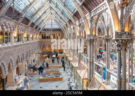 Oxford Museum of Natural History Oxford University of Oxford Oxfordshire England UK GB Europa Stockfoto
