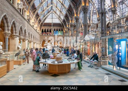 Oxford Museum of Natural History Oxford University of Oxford Oxfordshire England UK GB Europa Stockfoto