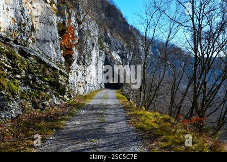Eine Schotterstraße mit einer Kalksteinklippe führt in einen Tunnel in den Felsen bei Podtabor in Notranjska, Slowenien Stockfoto