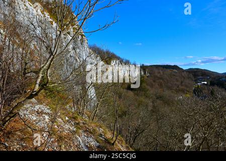 Kalksteinabstieg über dem Wald bei Podtabor in Notranjska, Slowenien Stockfoto
