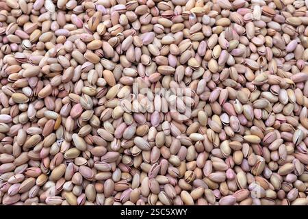 Geröstete Pistazien in Schalen. Natürliche Lebensmittel Erdnüsse gestapelt Hintergrund. Stockfoto