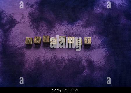 Internetformulierung mit Metallbuchstaben als Netz- und Geschäftskonzept Stockfoto