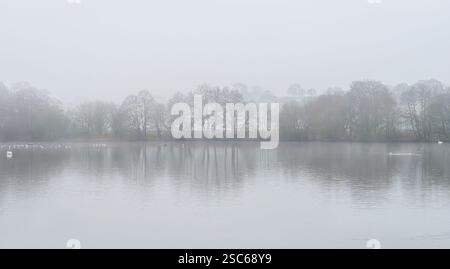 Herriots Bridge, Chew Valley Lake in Nebel mit Reflexion mit Schwänen und anderen Wasservögeln schwimmen Stockfoto