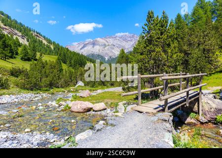Blick auf die wunderschöne Holzbrücke über den Fluss im Alpisella-Tal am sonnigen Sommertag, Alpen Berge, Italien Stockfoto