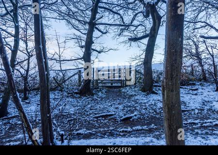 Eine verschneite Waldlandschaft im ländlichen Sussex, an einem kalten Januarmorgen Stockfoto