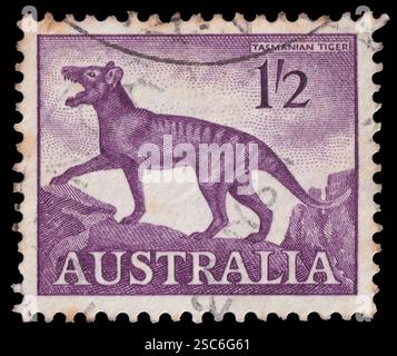Australien - ca. 1961: Briefmarke mit Vintage-Illustration eines ausgestorbenen Tigers aus Tylacin. Stockfoto