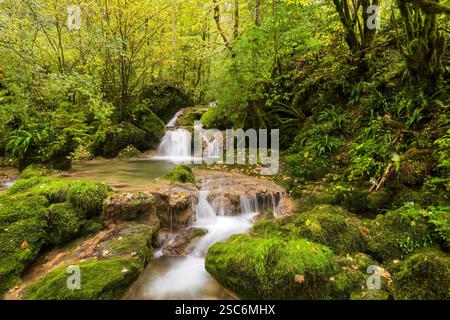 Bach im Cirque de Consolation, Consolation-Maisonnettes, Doubs, Frankreich Stockfoto