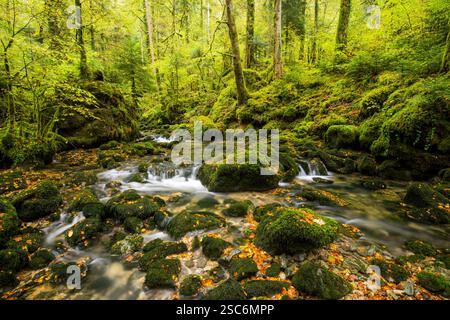 Bach im Cirque de Consolation, Consolation-Maisonnettes, Doubs, Frankreich Stockfoto
