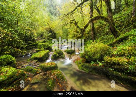 Bach im Cirque de Consolation, Consolation-Maisonnettes, Doubs, Frankreich Stockfoto