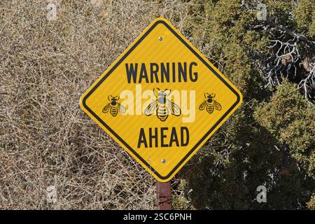 Warnbienen vor sich hin gelbes und schwarzes reflektierendes Straßenschild Stockfoto