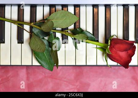 Valentinskarte mit roter Rose auf Klaviertasten Stockfoto