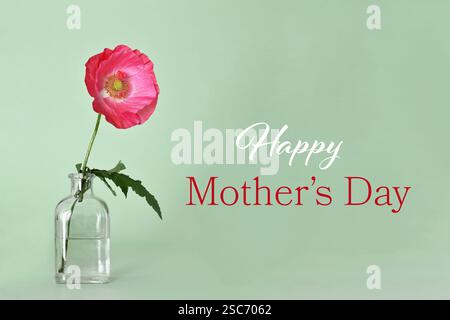 Alles Gute Zum Muttertag. Muttertagskarte mit Mohnblume in Vase Stockfoto