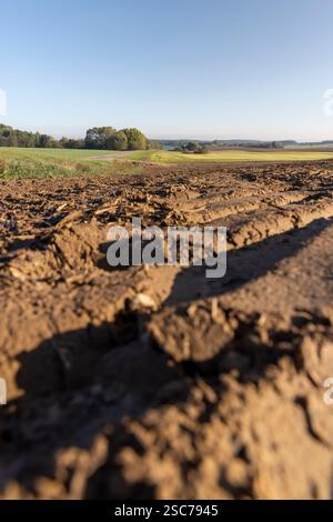 Spuren von Automobilrädern auf dem gepflügten Boden des Feldes, Spuren von Traktoren und anderen landwirtschaftlichen Maschinen auf dem Boden auf dem Feld Stockfoto