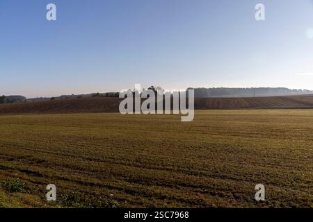 Spuren von Automobilrädern auf dem Boden des Feldes, Spuren von Traktoren und anderen landwirtschaftlichen Maschinen auf dem Boden auf dem Feld Stockfoto