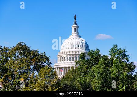Kuppel des Kapitols der Vereinigten Staaten (US Capitol Building, Capitol Building) mit Bronzestatue of Freedom in Washington DC, District of Columbia, USA Stockfoto