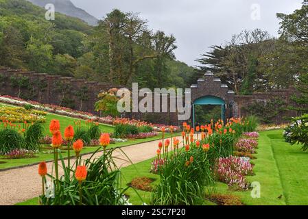 Ummauerte viktorianische Gärten in Kylemore Abbey, County Galway, Connemara, Republik Irland, Nordwesteuropa Stockfoto
