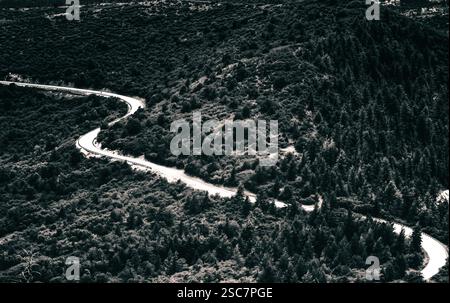 Eine kurvige Straße führt durch dichten Wald in dieser dramatischen schwarz-weißen Landschaft und schafft eine stimmungsvolle und abenteuerliche Reiseszene. Stockfoto