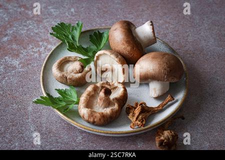 Braune Pilze, Shiitake und getrocknete Stachelpilze Stockfoto