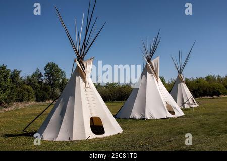 Drei Tipis sind auf einem Feld. Die Tipis sind weiß und in einer Reihe angeordnet Stockfoto
