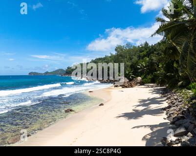Blick aus der Vogelperspektive auf den tropischen Strand und das blaue Meer. Seychellen, Mahe. Anse Takamaka Beach. Stockfoto
