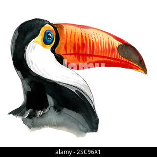 Tukan-Vogelkopf. Handgezeichnete Aquarellillustration Stockfoto
