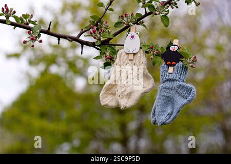 Zwei Paar Wollsocken hängen am Ast Stockfoto