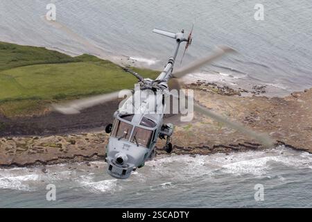 Royal Navy Lynx Helikopter in einem engen Formationsflug, der seine Rolle bei der Seeverteidigung und bei Anti-U-Boot-Operationen unterstreicht. Angetrieben von LHTEC CTS800-4N-Motoren ist es für den Marineeinsatz von entscheidender Bedeutung. Stockfoto
