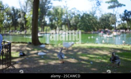 Verschwommene Szene in der Villa borghese mit Teich, Bäumen und Gänsen mit Menschen in rom, draußen an sonnigen Tagen, die eine ruhige und ruhige Atmosphäre bieten Stockfoto