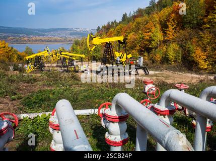 Ölpumpe auf einem Hintergrund von Wald in Russland Stockfoto