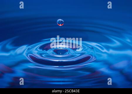 Wassertropfen fällt ins Wasser, einen perfekten konzentrischen Kreisen Stockfoto