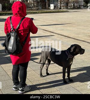 Die Frau steht mit ihrem Hund auf der Straße Stockfoto