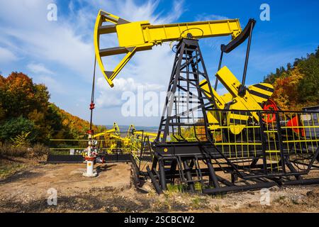 Ölpumpe auf einem Hintergrund von Wald in Russland Stockfoto