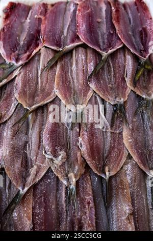 Nahaufnahme frischer Sardinen zum Verkauf auf dem Fischmarkt in Santos, Brasilien Stockfoto