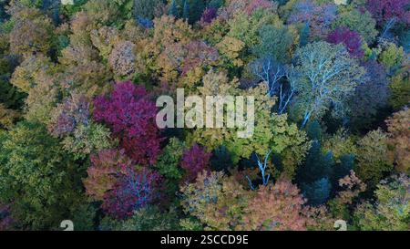 Blick aus der Vogelperspektive auf den Wald und seine bunten Bäume im Herbst auf Orleans Island, Quebec, Kanada Stockfoto