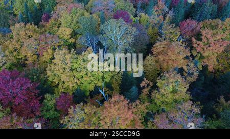 Blick aus der Vogelperspektive auf den Wald und seine bunten Bäume im Herbst auf Orleans Island, Quebec, Kanada Stockfoto