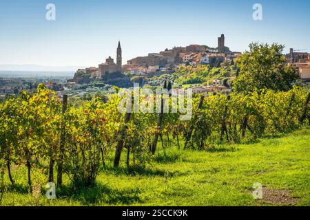 Blick auf die historische Stadt Castiglion Fiorentino und einen Weinberg im Vordergrund. Val di Chiana, Provinz Arezzo, Region Toskana, Italien Stockfoto