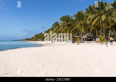 Insel Saona im Nationalpark Cotubanamá. Eine tropische Karibikinsel mit weißem Sand, klarem türkisfarbenem Wasser und Palmen, Dominikanische Republik Stockfoto