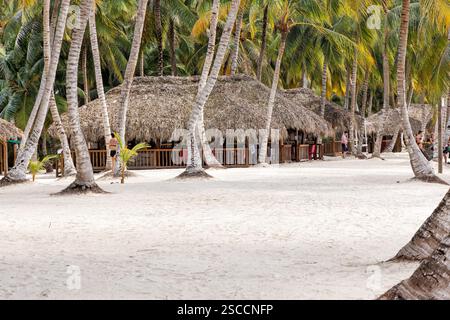 Insel Saona im Nationalpark Cotubanamá. Eine tropische Karibikinsel mit weißem Sand, klarem türkisfarbenem Wasser und Palmen, Dominikanische Republik Stockfoto