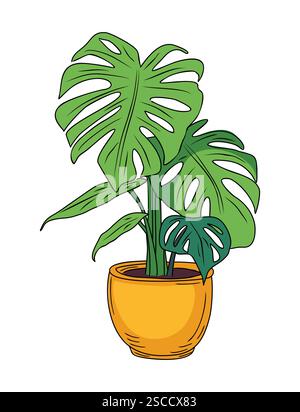 Farbige Umrisszeichnung der Monstera-Hauspflanze Stock Vektor