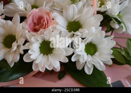 Ein Nahfoto eines Blumenstraußes. Es hat weiße Gänseblümchen-ähnliche Blumen, Chrysanthemen mit grünen Mittelpunkten und rosa Blumen mit Rüschen Stockfoto