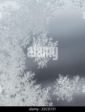 Frostmuster an einem Winterfenster Stockfoto